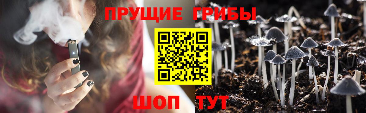 Псилоцибиновые грибы прущие грибы  Вход с VPN  Новоуральск 